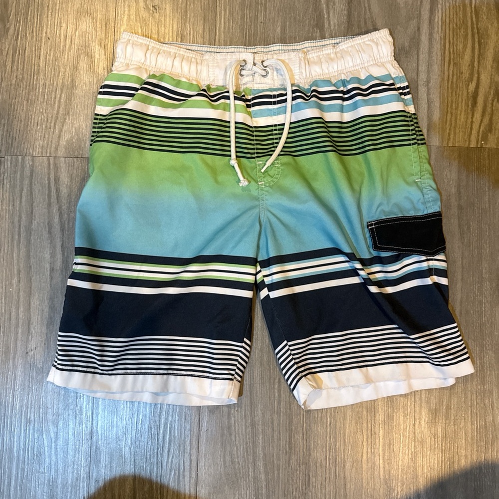 Striped Multicolor Swim Shorts